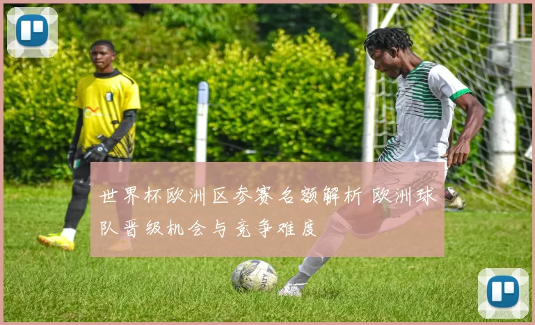 世界杯欧洲区参赛名额解析 欧洲球队晋级机会与竞争难度