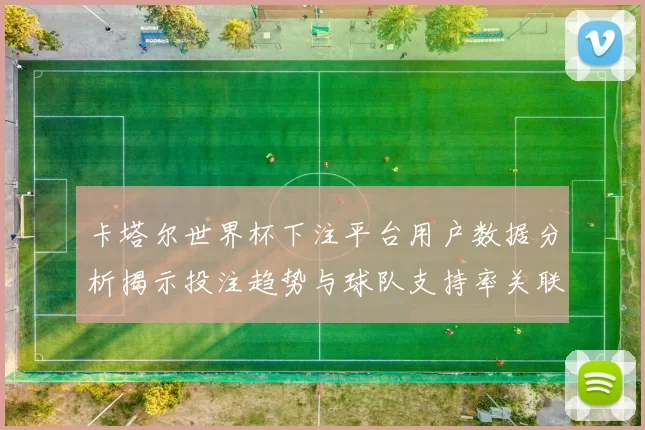 卡塔尔世界杯下注平台用户数据分析揭示投注趋势与球队支持率关联