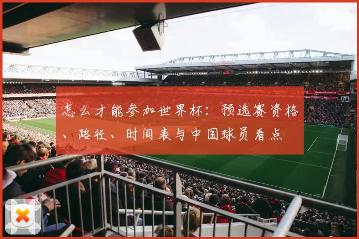 怎么才能参加世界杯:预选赛资格、路径、时间表与中国球员看点